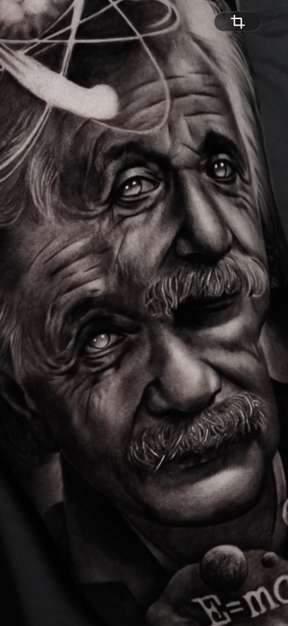 detalle retratos einstein black grey scaled